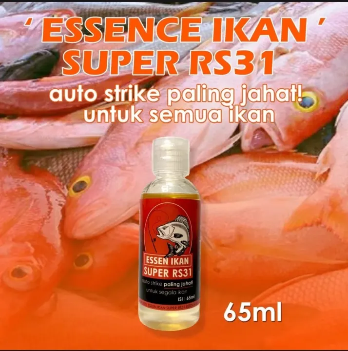 Obral Promo Essen Ikan Super Rs Essence Pancing Aroma Gurih Amis