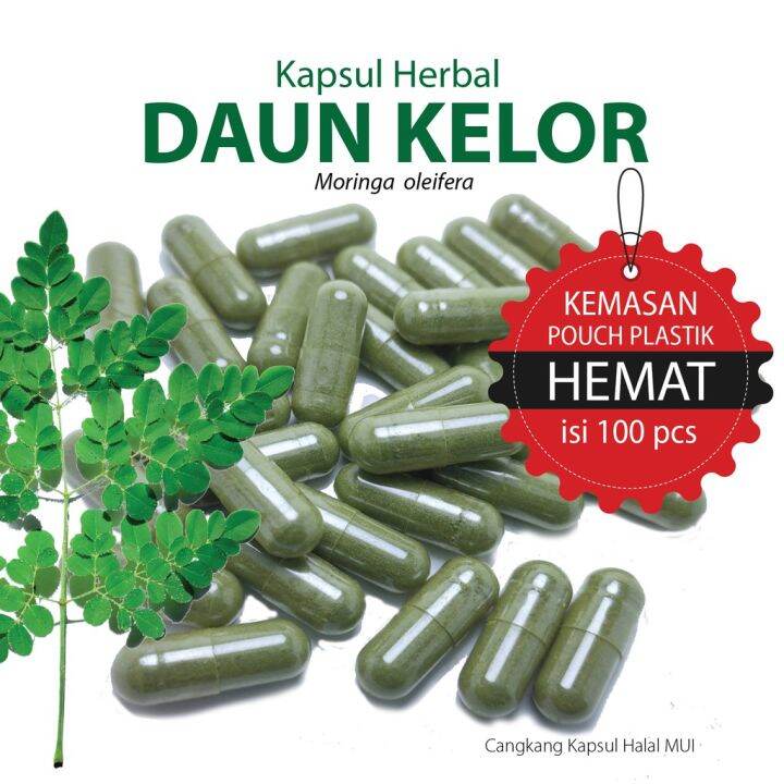 Kapsul Daun Kelor Isi 100kapsul Lazada Indonesia