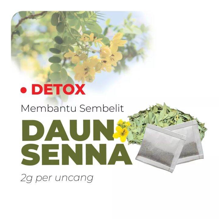 1 Uncang Daun Sanna 100 Original Senna Tea Teh Senna Uncang Asli