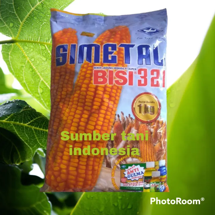 Benih Jagung Super Hibrida Bisi 321 Simetal Simerah Total Lazada