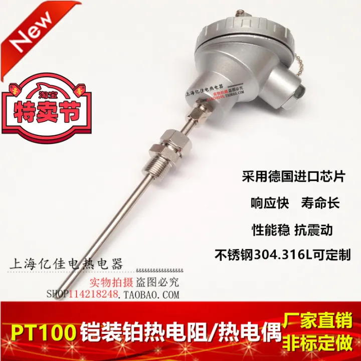 Pt Armored Platinum Thermal Resistance Temperature Sensor Probe Wzpk