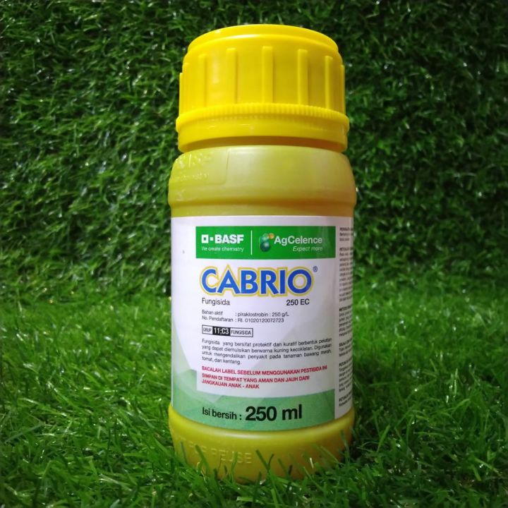 FUNGISIDA CABRIO 250EC Kemasan 250ML Bahan Aktif Piraklostrobin 250g