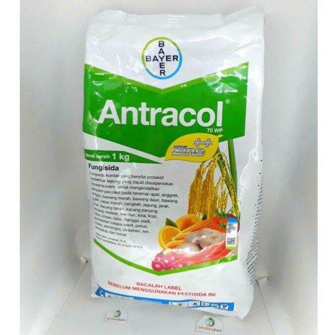 Antracol Wp Fungisida Obat Penyakit Tanaman Propineb Zinc Pt Bayer