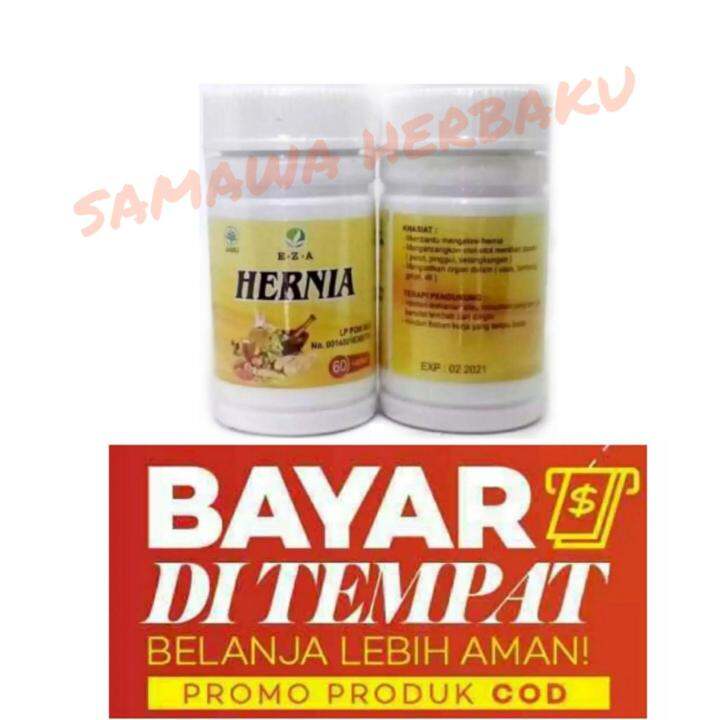 Kapsul Hernia EZA 60 Kapsul Lazada Indonesia