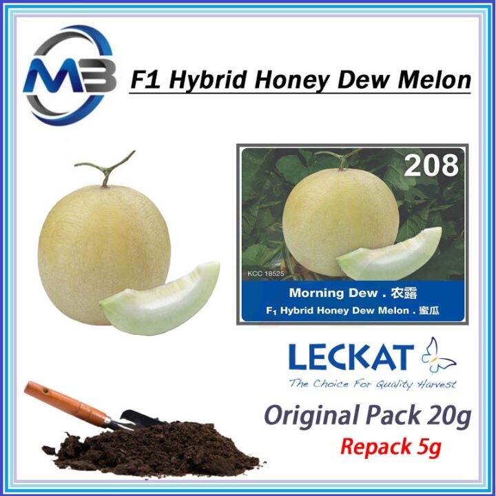 Gram Biji Benih Melon Morning Dew Cap Leckat F Hybrid Honey