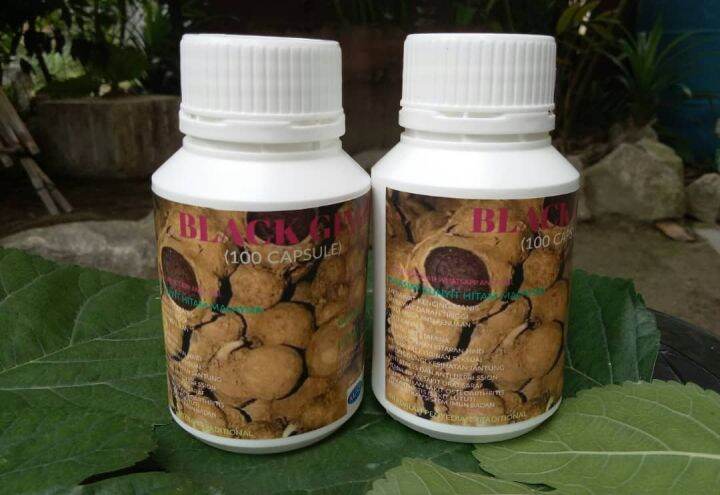 100 Capsule Kunyit Hitam Black Ginger Capsule Lazada