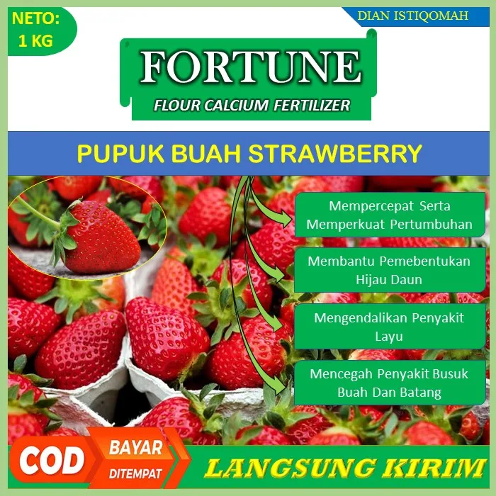 Terbaru Pupuk Kalsium Fortune Kg Pupuk Untuk Tanaman Strawbrry