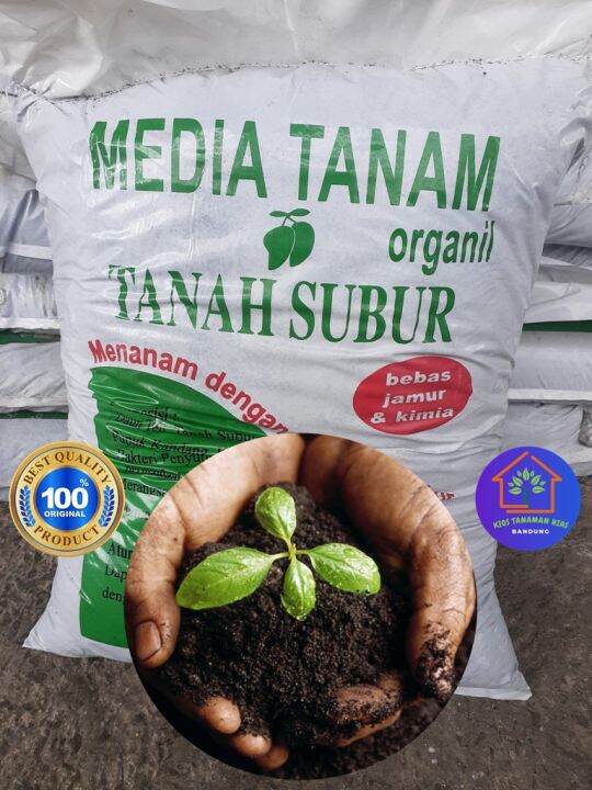 Cod Media Tanam Tanah Subur Organik Siap Pakai Untuk Tanaman Hias