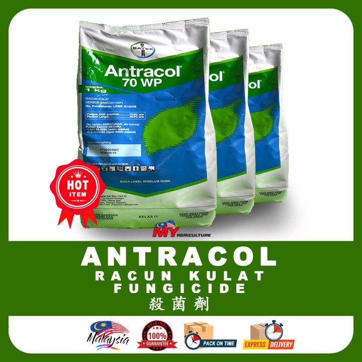 Bayer Antracol Wp Racun Kulat Fungicide Kg My Agriculture