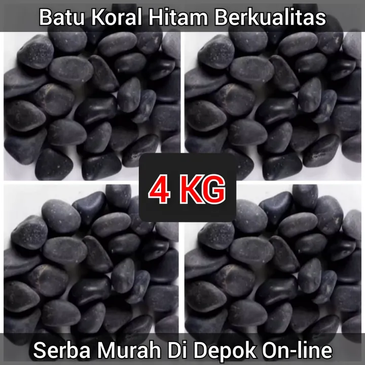 Batu Koral Hitam 4 KG Taman Dan Aquarium 4 Kg Batu Hias Koral Hitam