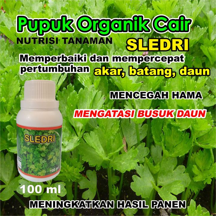 Pupuk Cair Organik Untuk Sayuran Seledri Super Lebat Anti Perontok Poc