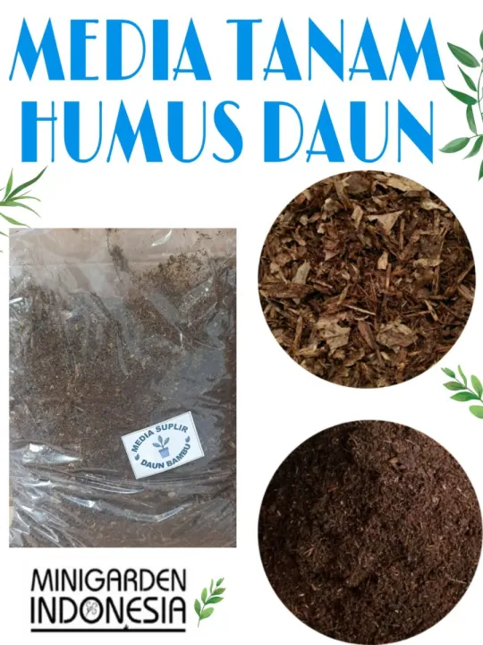 Media Suplir Humus Daun Bambu Halus Kg Kompos Media Tanam Aglaonema