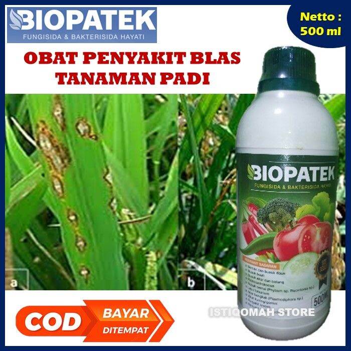 Obat Semprot Hama Merah Pada Daun Padi BIOPATEK 500ML Fungisida