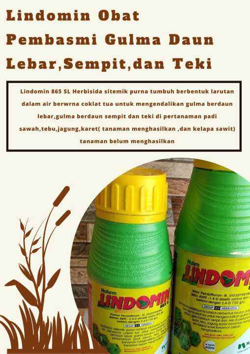 Obat Herbisida Lindomin Untuk Membasmi Gulma Daun Lebar Sempit Dan Teki