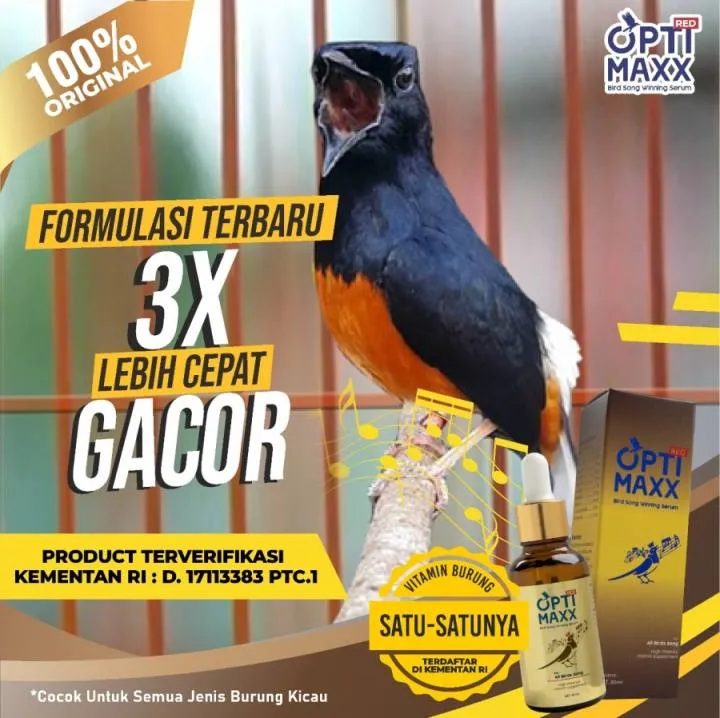 Optimaxx Serum Vitamin Tetes Pakan Burung Suara Untuk Kicau Gantangan