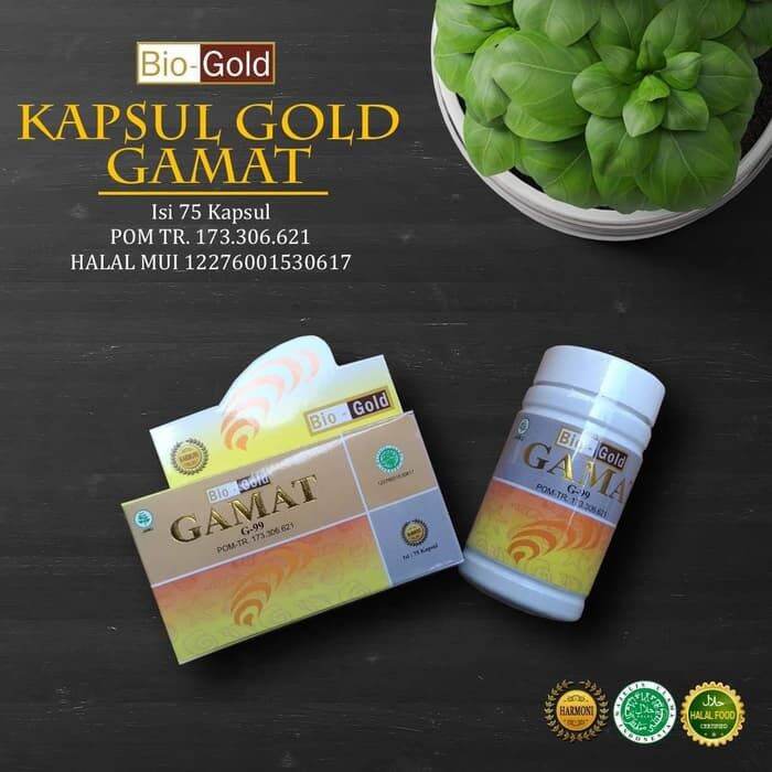 Kapsul Gamat Emas Bio Gold Kapsul Gamat 100 Suplemen Tulang Dan