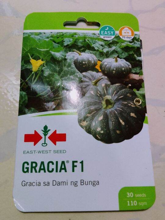 Gracia F Hybrid Squash Seeds Seeds By East Lazada Ph