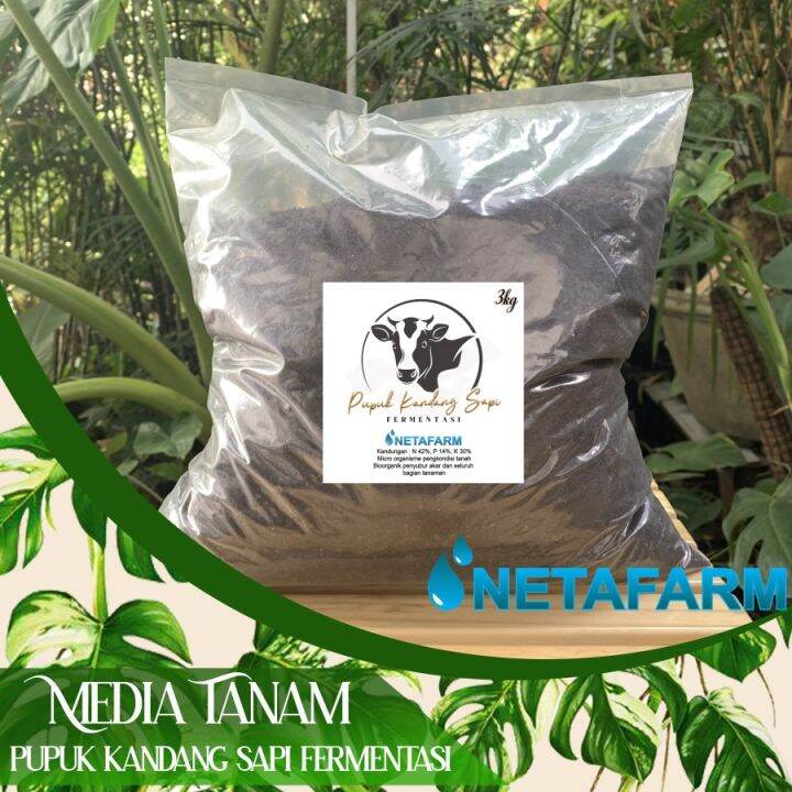 Pupuk Kandang Sapi Fermentasi Organik Kg Lazada Indonesia