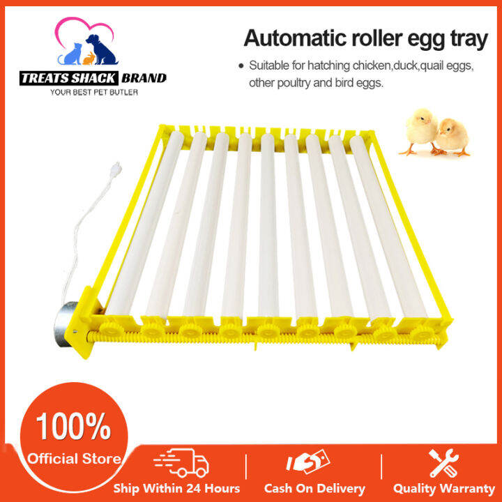 V Automatic Incubator Hatching Egg Tray Eggs Incubator