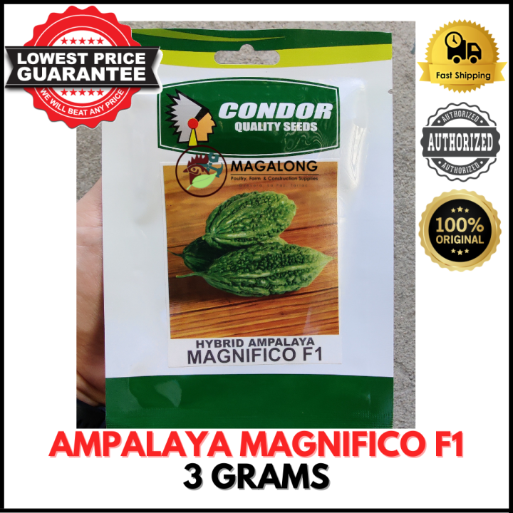 CONDOR SEEDS AMPALAYA SEEDS MAGNIFICO F1 HYBRID 3 GRAMS Lazada PH