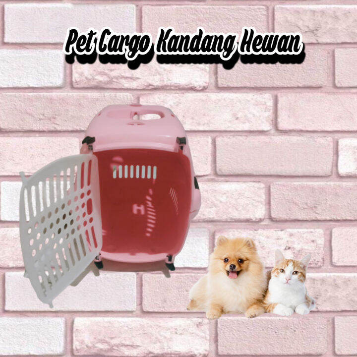 Pet Cargo Small Kandang Hewan Murah Kucing Anjing Lazada Indonesia