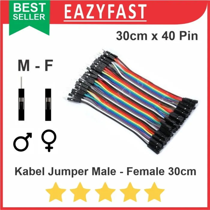 Kabel Jumper Male To Female 30cm 30 Cm 40p 40 Pin Pcs Arduino Dupont