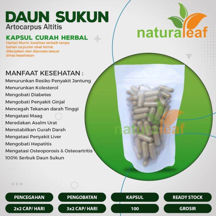 DAUN SUKUN Kapsul Curah Herbal Jantung Liver Diabetes 100 Capsul