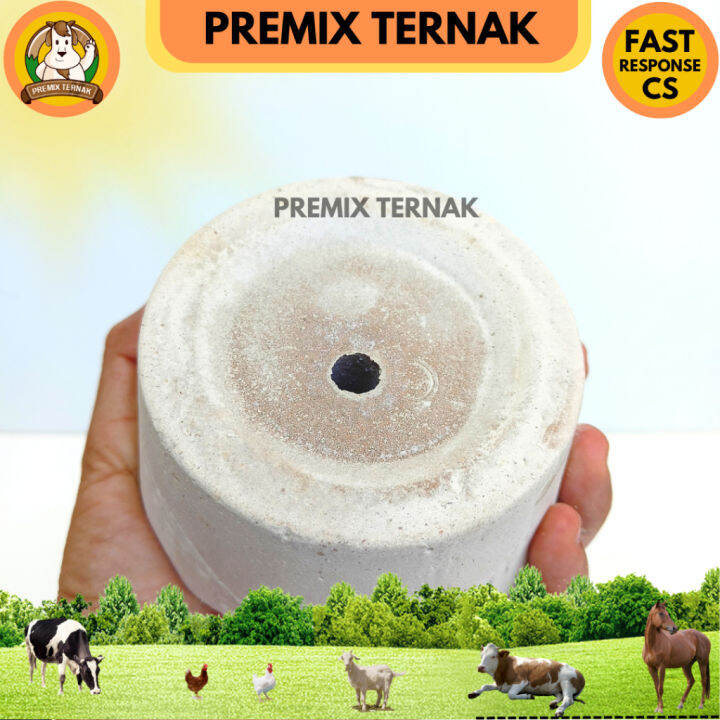 MINERAL BLOK KAMBING 500 Gr Mineral Blok Kambing Mineral Blok Sapi