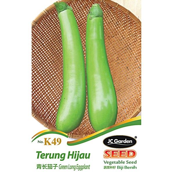 HMC K49 GREEN LONG EGGPLANT JC GARDEN SEED GARDENING PLANTING TANAMAN