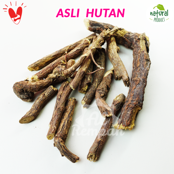 Akar Atau Kayu Legi Kering 50gr Asli Hutan Lazada Indonesia