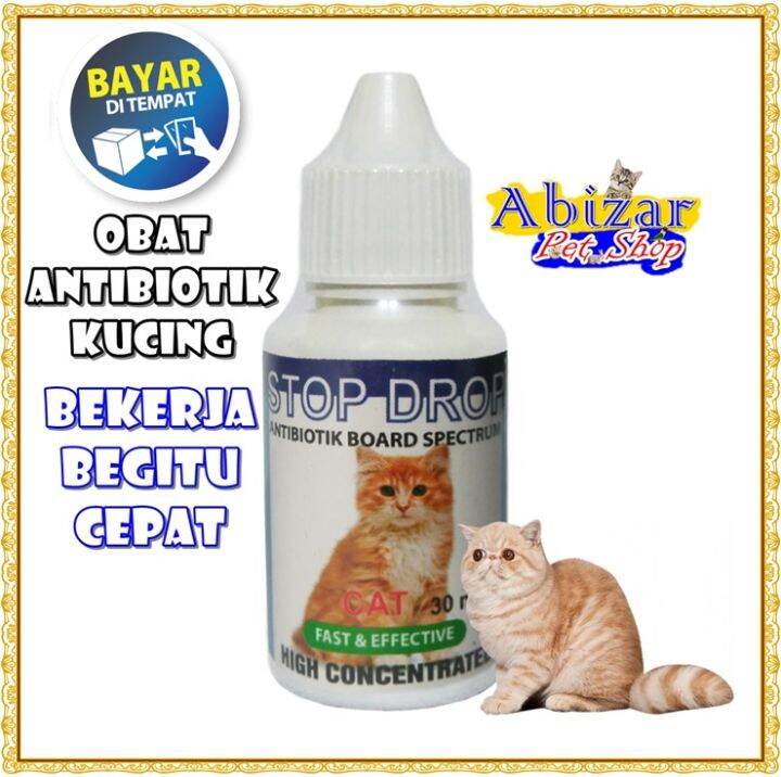 Obat Kucing Obat Antibiotik Kucing Obat Demam Flu Batuk Diare Infeksi