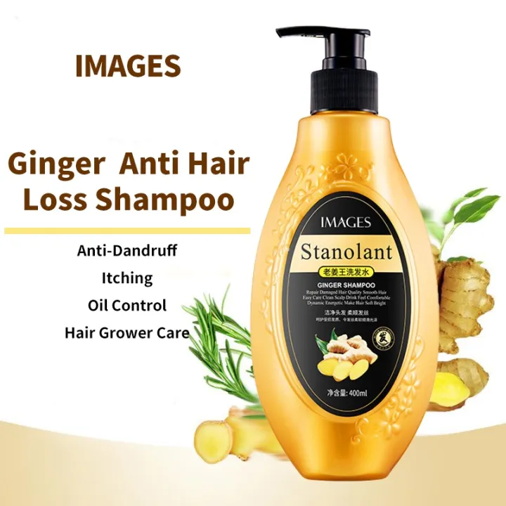 Ginger Anti Hair Loss Shampoo Scalp Treatment Anti Dandruff Itching Oil