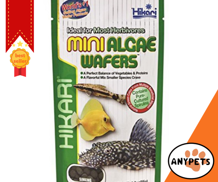 Hikari Tropical MINI ALGAE WAFERS 85g Lazada PH