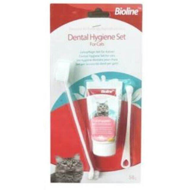 BIOLINE DENTAL HYGIENE SET For Cats Toothbrush Toothpaste Lazada PH