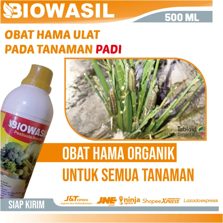 Promo Bintang Obat Hama Ulat Pada Tanaman Padi Biowasil Ml Pupuk