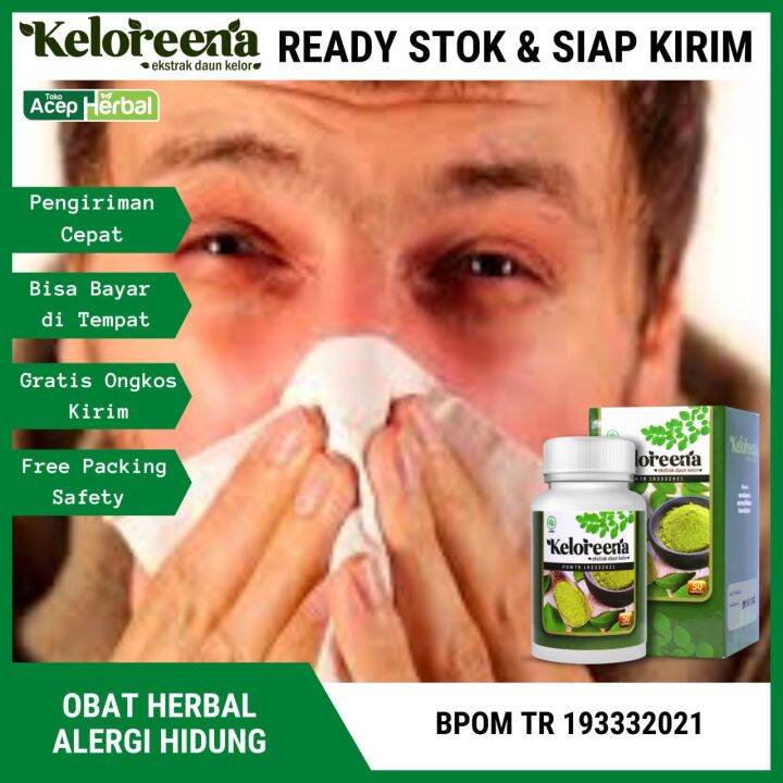 Obat Herbal Alergi Hidung Polip Hidung Sinusitis Pilek Hidung