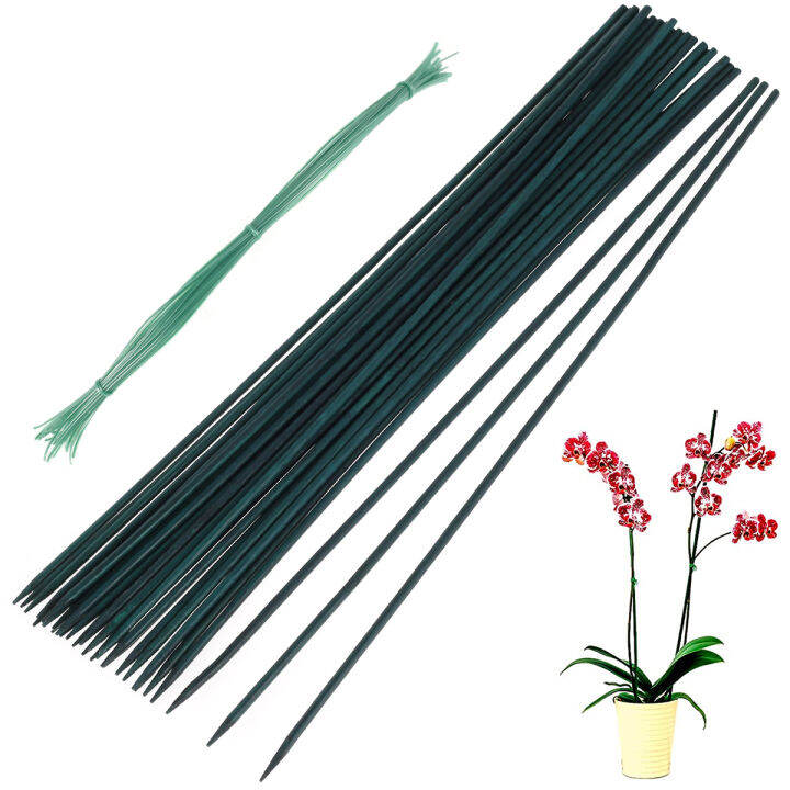 Plant Support Stakes 30pcs Bamboo Floral Support Pole Green Garden