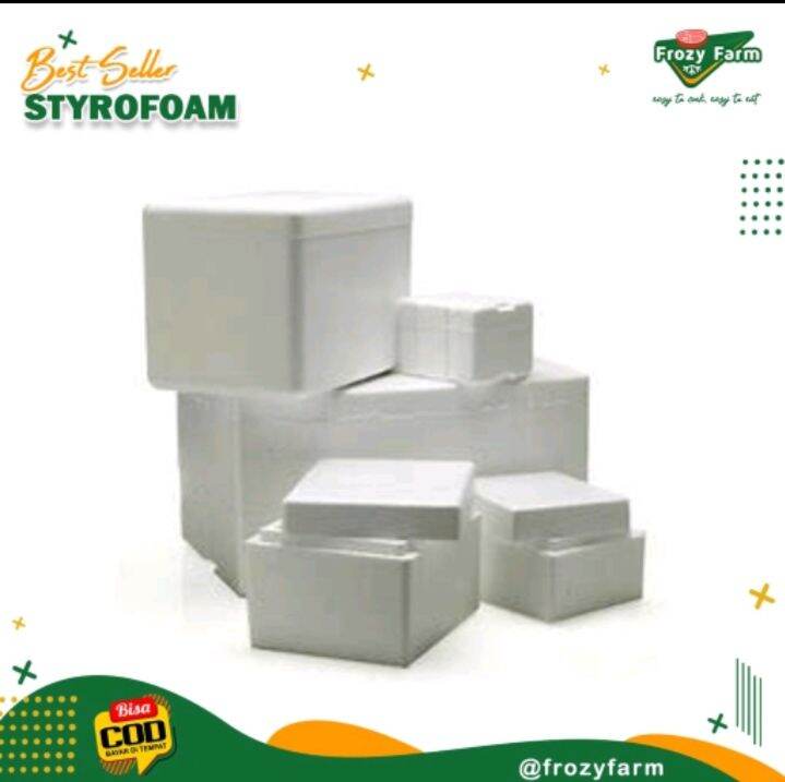 Styrofoam Packing Box Styrofoam MINI Lazada Indonesia