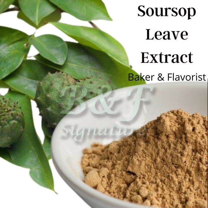 Soursop Leaves Extract Powder G Aannona Graviola Guanabana