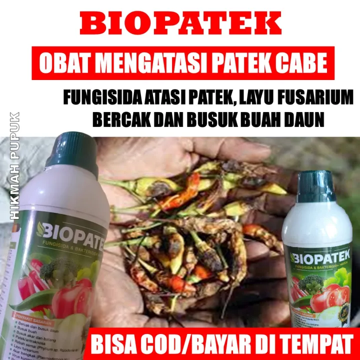 BIOPATEK Isi 500 ML Obat Bercak Daun Busuk Buah Cabe Busuk Akar