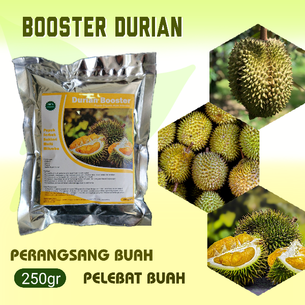 Booster Durian Organik Agar Cepat Berbuah Lebat Ampuh Pupuk Pelebat