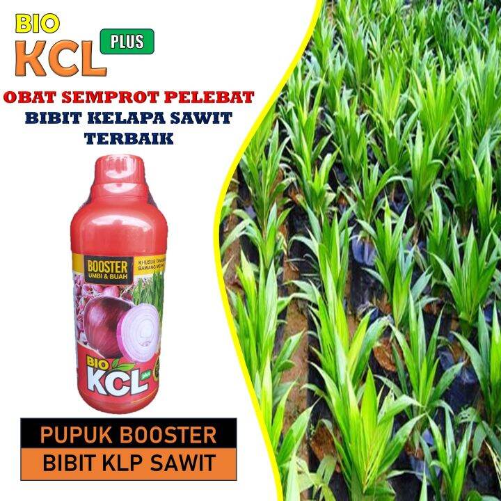 TERMURAH BIO KCL 500ML Pupuk Kelapa Sawit Terbaik Obat Semprot