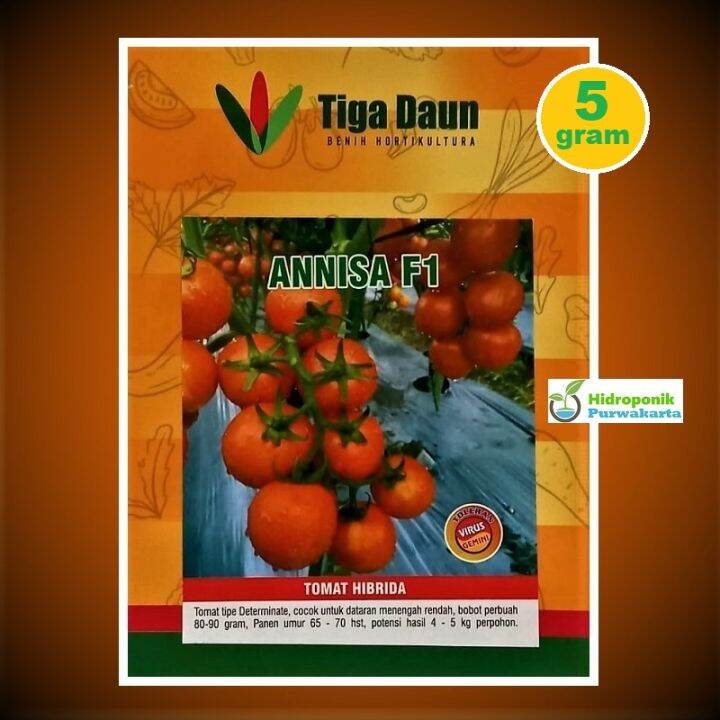 Benih Tomat Hibrida Annisa F1 Isi 5 Gram Cap Tiga Daun Tomat Super Tipe