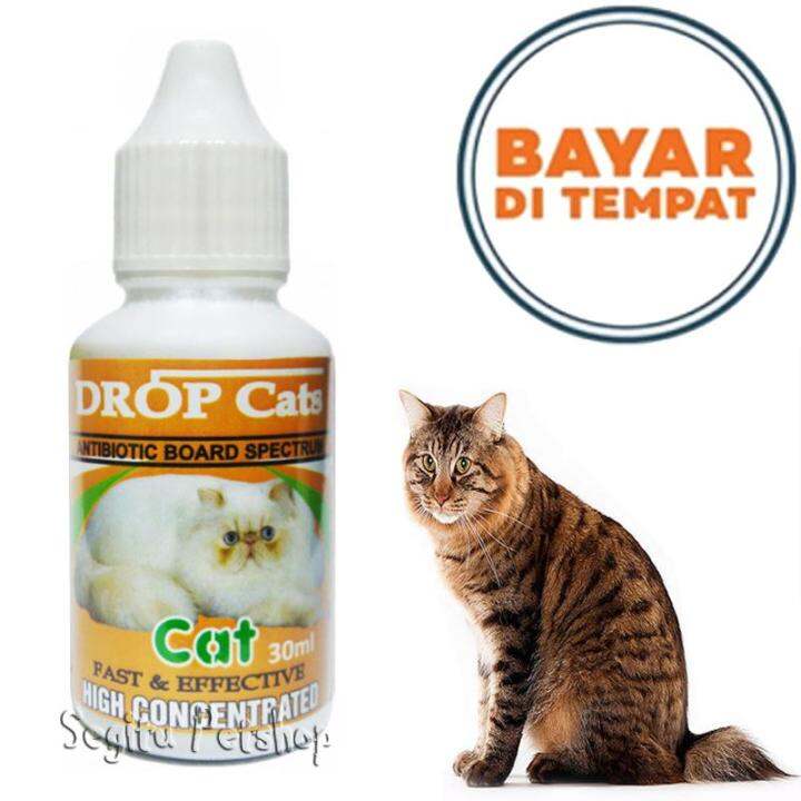 Drop Cat Antibiotik Kucing Flu Demam Panas Kitten Lazada Indonesia