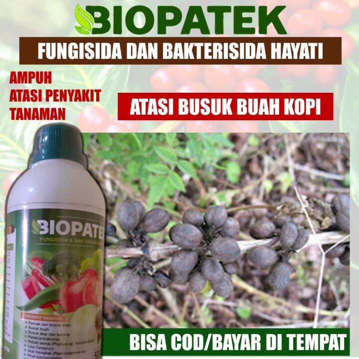 Rekomended Biopatek Isi Ml Fungisida Sistemik Obat Patek Obat Busuh