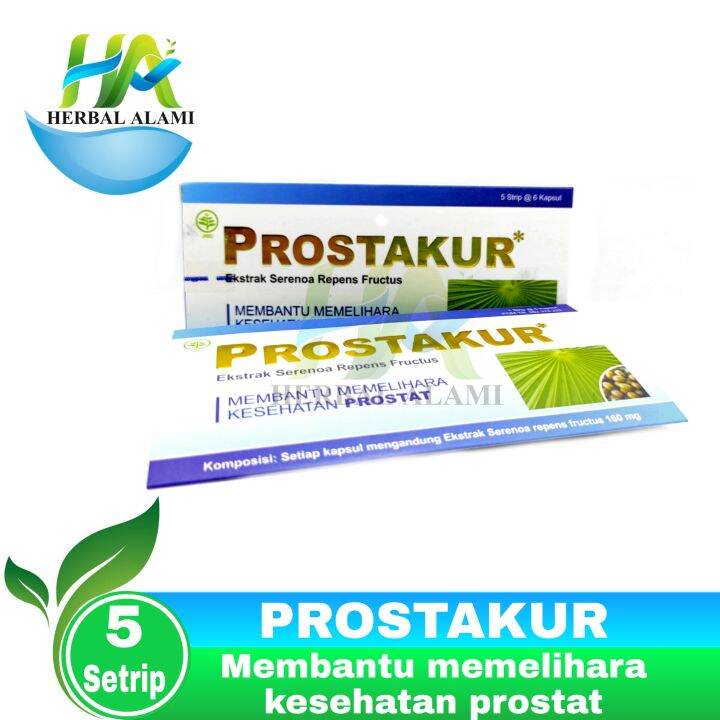 Prostakur PerBox Membantu Memelihara Kesehatan Prostat Lazada Indonesia