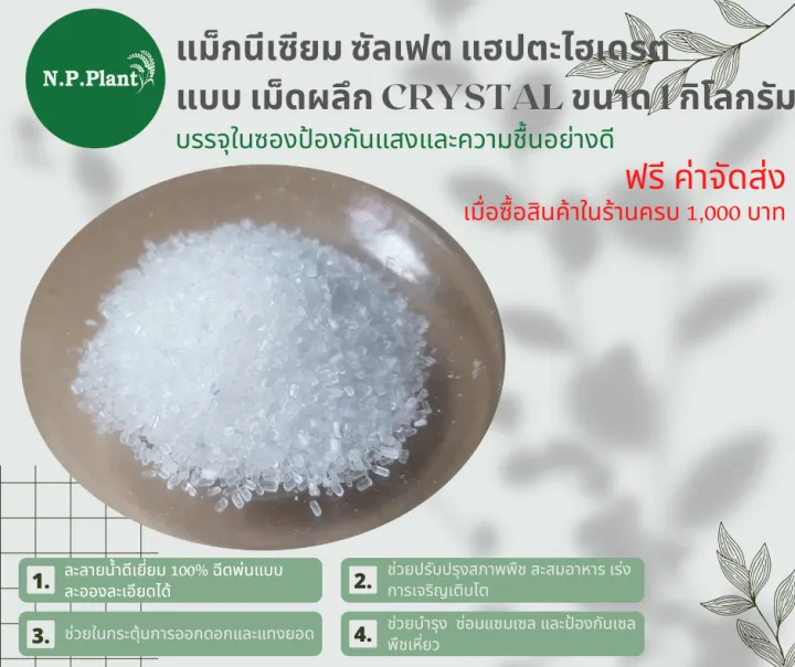 แมกนเซยม ซลเฟต แฮปตะไฮเดรต Magnesium Sulphate Heptahydrate MGSO4