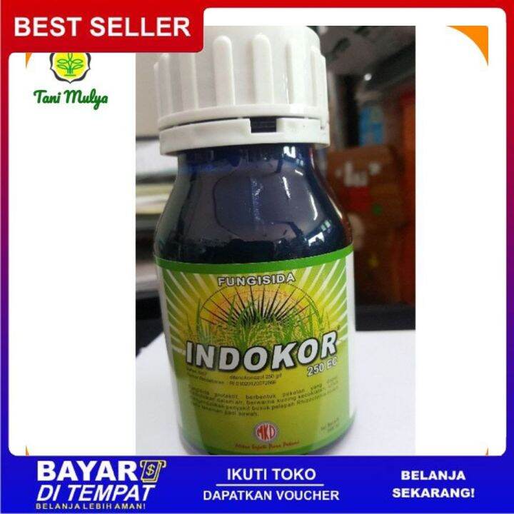 Fungisida INDOKOR 250 EC 80ml Bahan Aktif Difenokonazol Lazada Indonesia