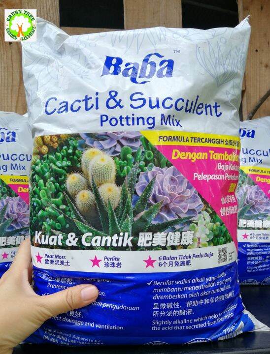 Baba Cacti Succulent Potting Mix L Perlite Succulent Lazada