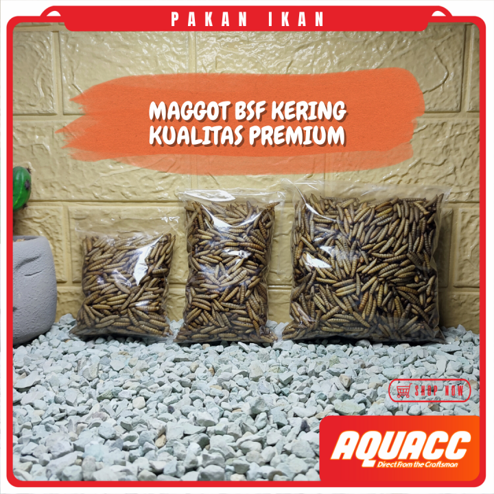 Maggot Kering Magot Dry Maggot Pakan Ikan Terbaik Tidak Berminyak